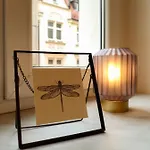 Cityapartment - 53 M², 2 Zimmer, Zentral, Netflix, Kueche, Waschmaschine