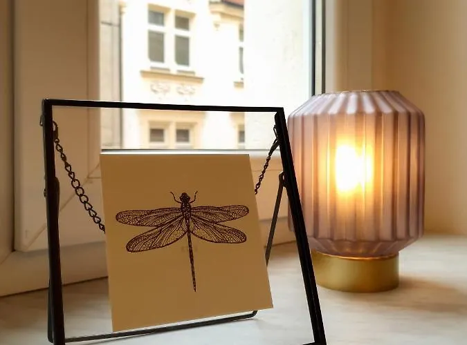 Cityapartment - 53 M², 2 Zimmer, Zentral, Netflix, Kueche, Waschmaschine